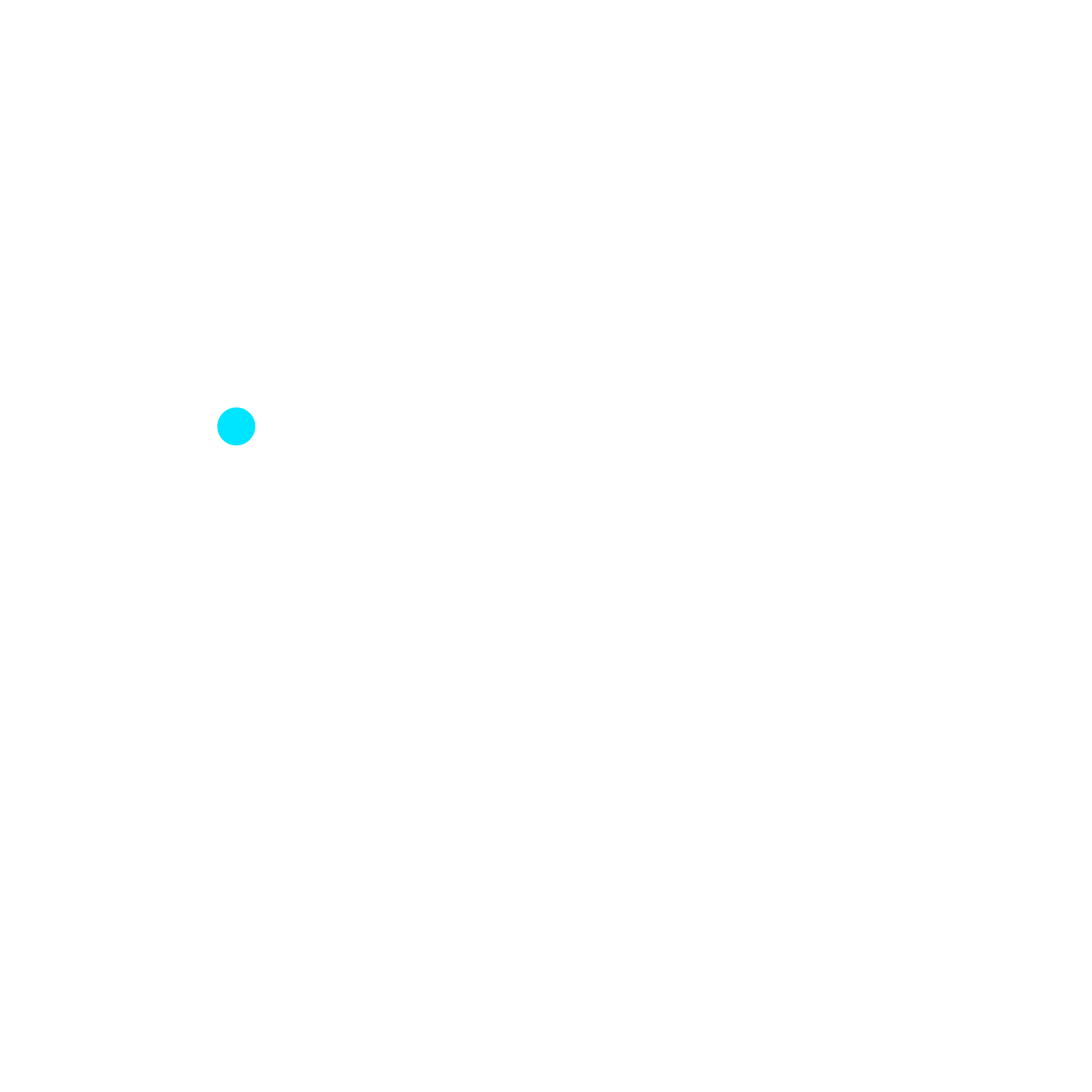 Wisdom Academy